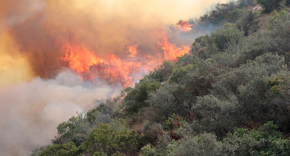 Incendios forestales: la otra siniestra y letal pandemia