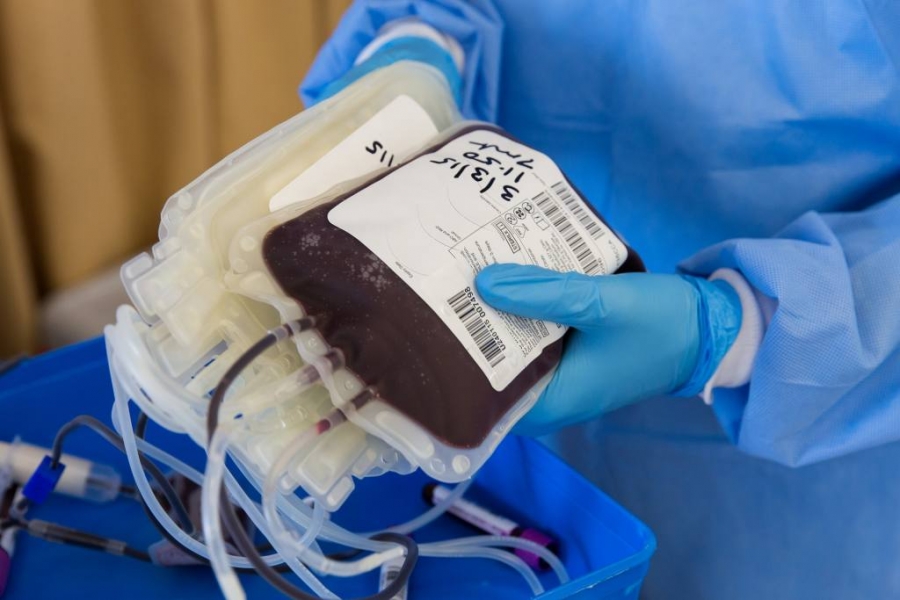 Cruz Roja Hondureña lidera tratamiento de plasma sanguíneo para recuperar a pacientes con covid-19