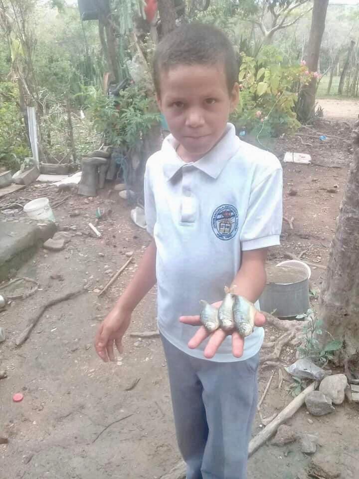 Lluvia de peces en Honduras.