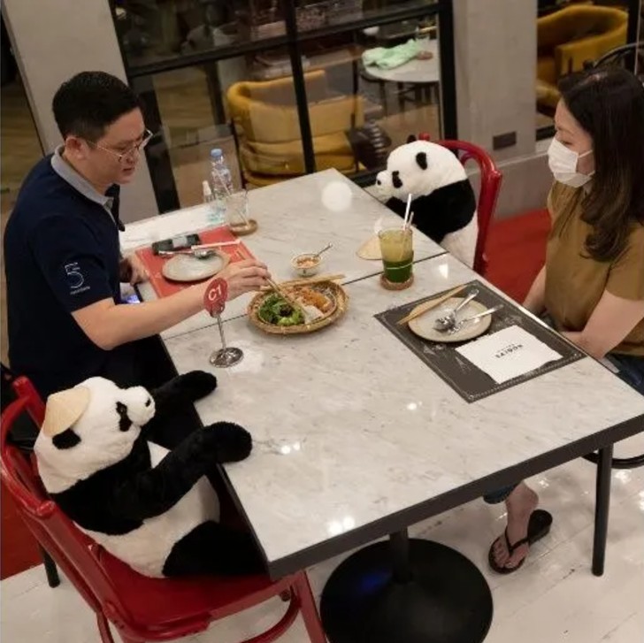 Colocan pandas de peluche para respetar la distancia social. 