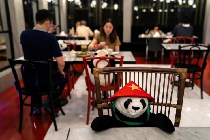 ¡Adorable! Conoce el restaurante que usa pandas de peluche para marcar el distanciamiento social