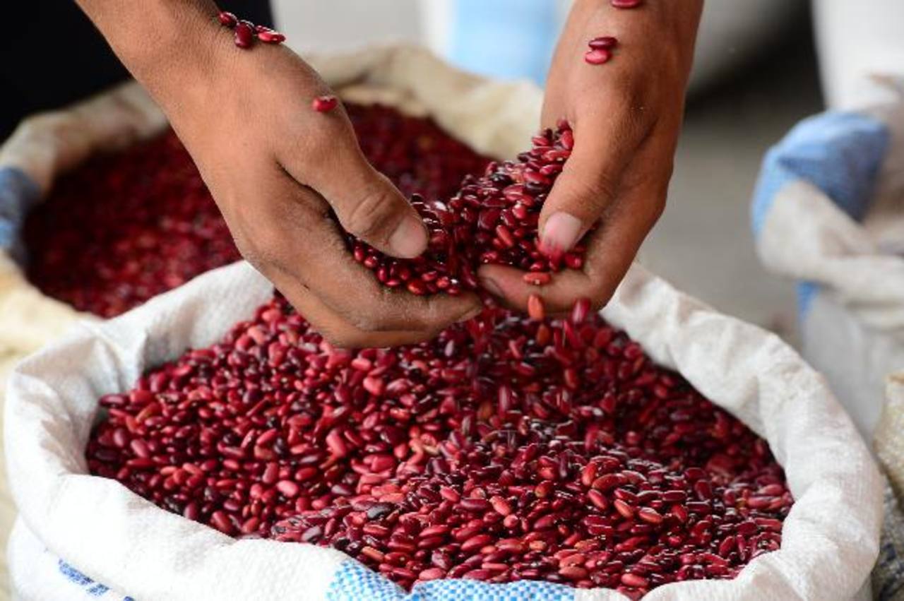 Honduras solo tiene abastecimiento de frijol para un mes en medio de la pandemia