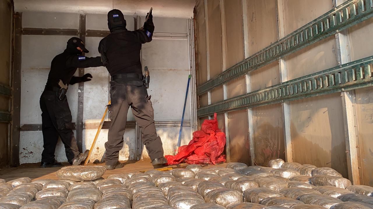 Imagen de cuerpo de nota