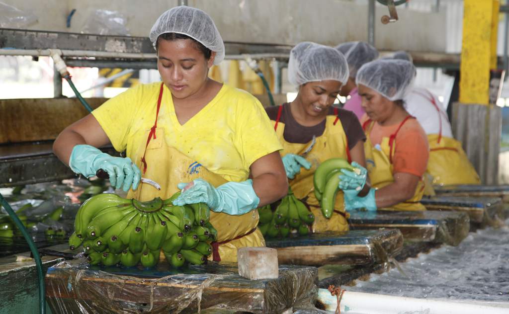 La empresa transnacional "Chiquita" anuncia cierre de operaciones en Honduras y se traslada a Guatemala