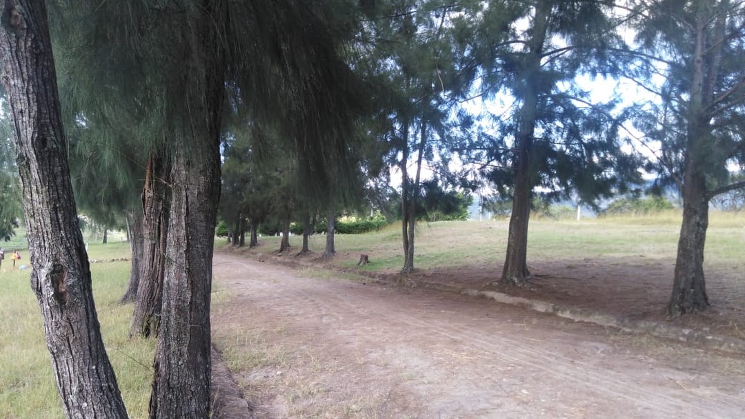 Masivo entierro por covid-19 en cementerio Jardines de los Ángeles, Honduras