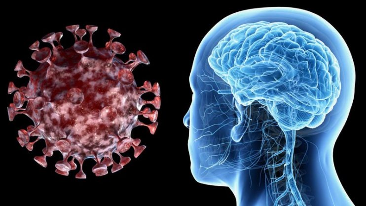 Un estudio muestra que el coronavirus es una “amenaza global” para todo el sistema nervioso