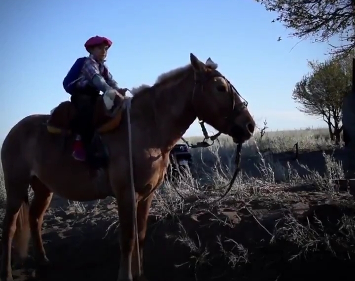 Niño argentino recorre 30 kilómetros a caballo para conectarse a internet y entregar sus tareas