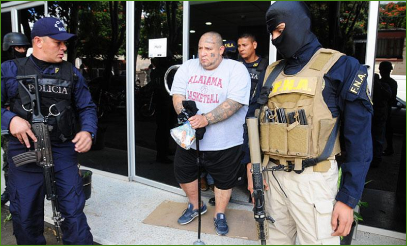 Imagen de cuerpo de nota