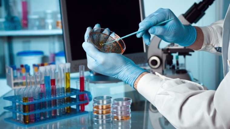 Microbiólogos hondureños paralizarán labores si no se les garantizan medidas de bioseguridad
