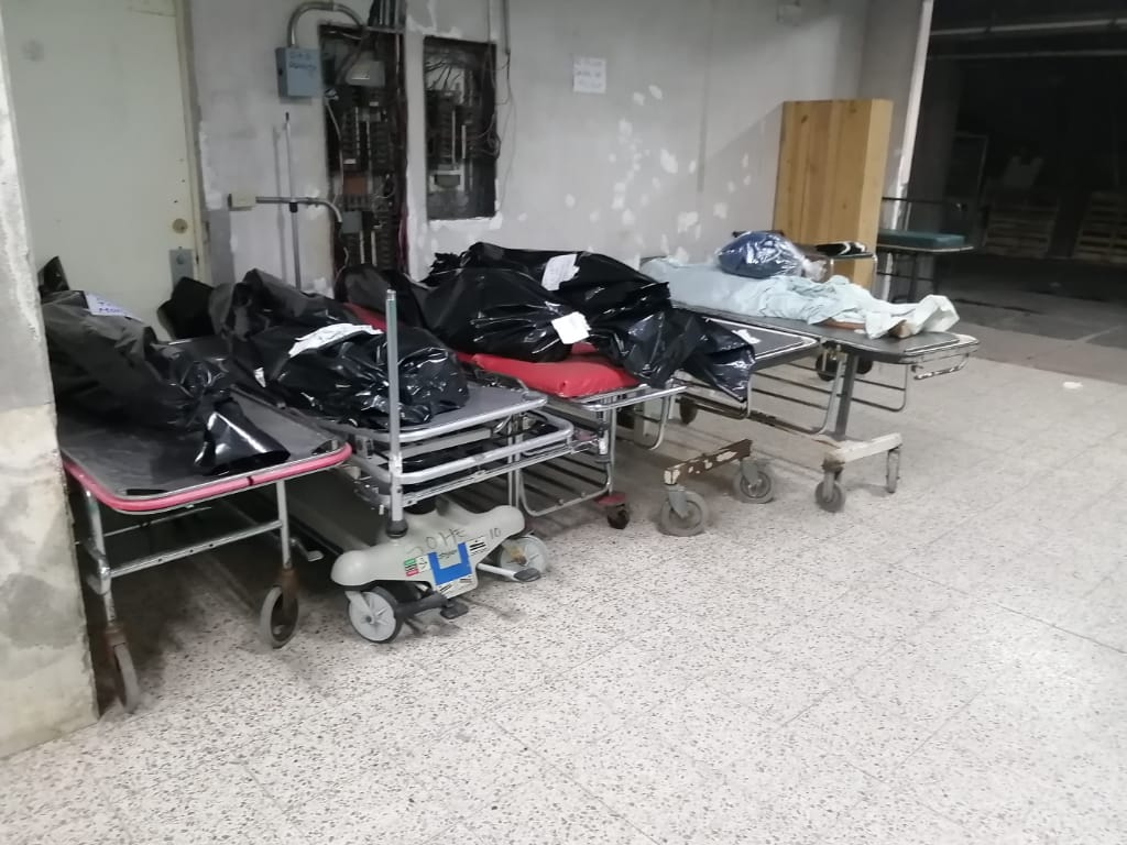 Imagen de cuerpo de nota