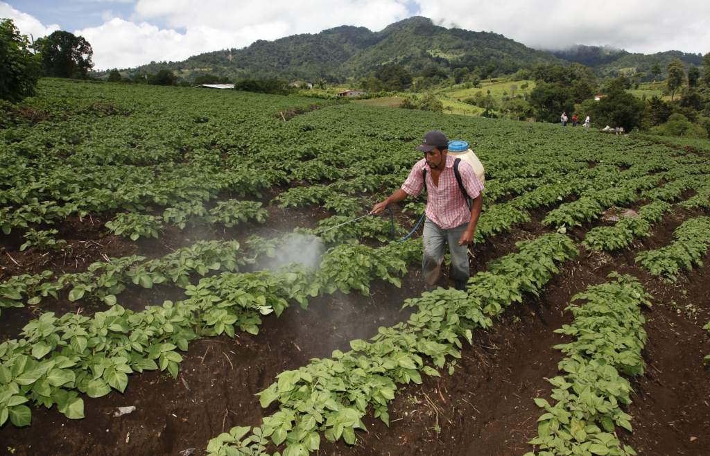 ¿Y el financiamiento a los productores?