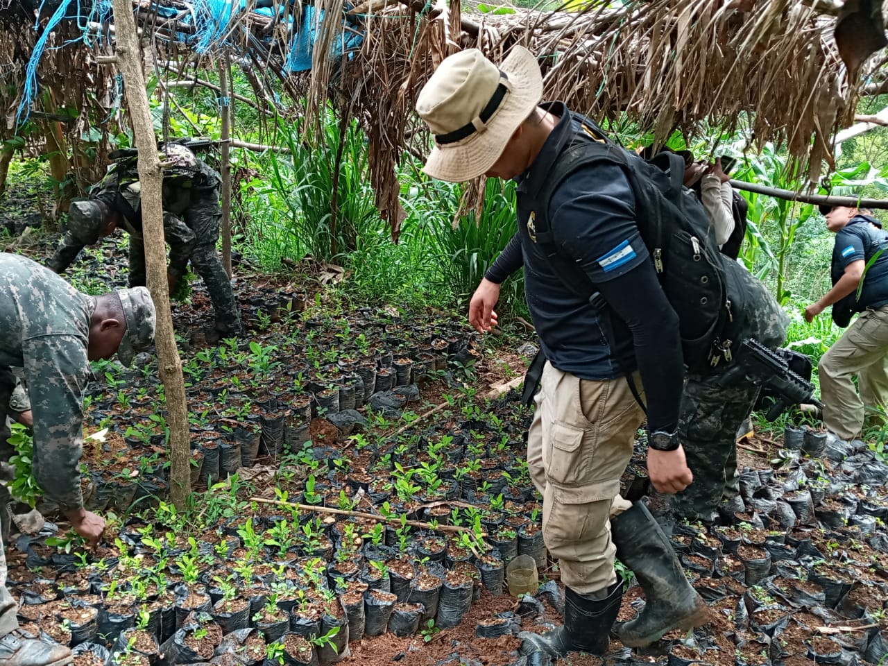 Imagen de cuerpo de nota