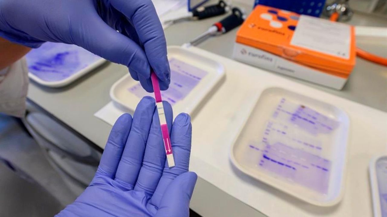 Las 100 mil pruebas que se arruinaron debían estar a -20 grados, pero venían a +1: Karla Pavón