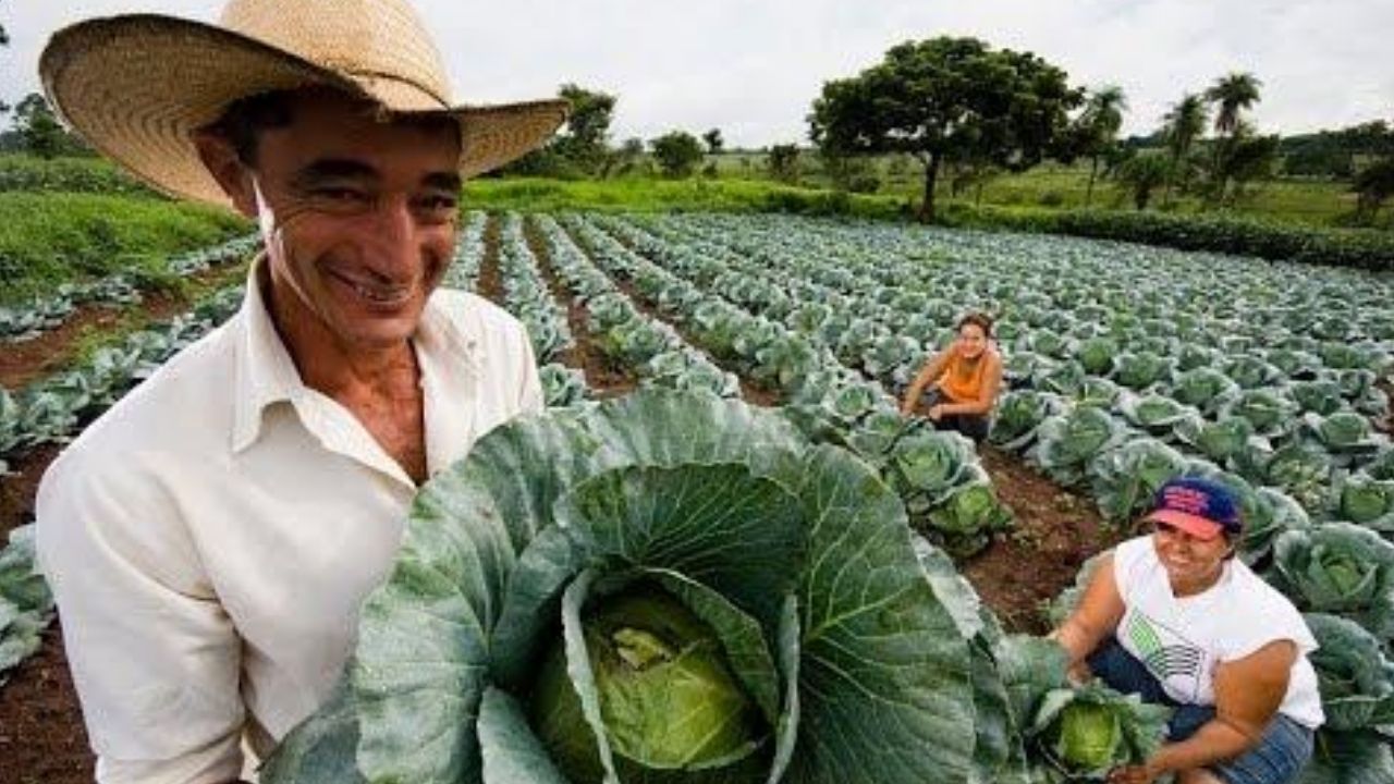 CRS y sus socios destacan que el agro es la vida de la población