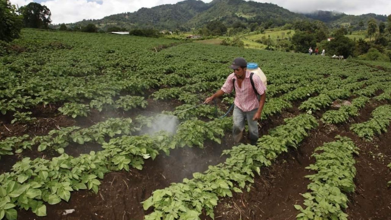 Editorial HRN: La pandemia de la indiferencia hacia el agro nacional