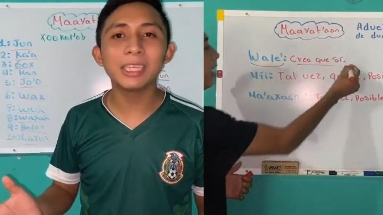 Joven se vuelve viral en TikTok  por enseñar la lengua Maya de forma sencilla, te compartimos el vídeo