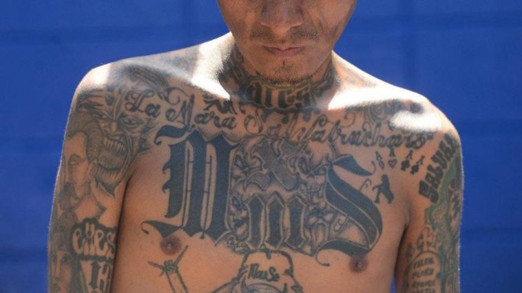 Detienen a 26 mareros de una célula de la MS-13 en El Salvador