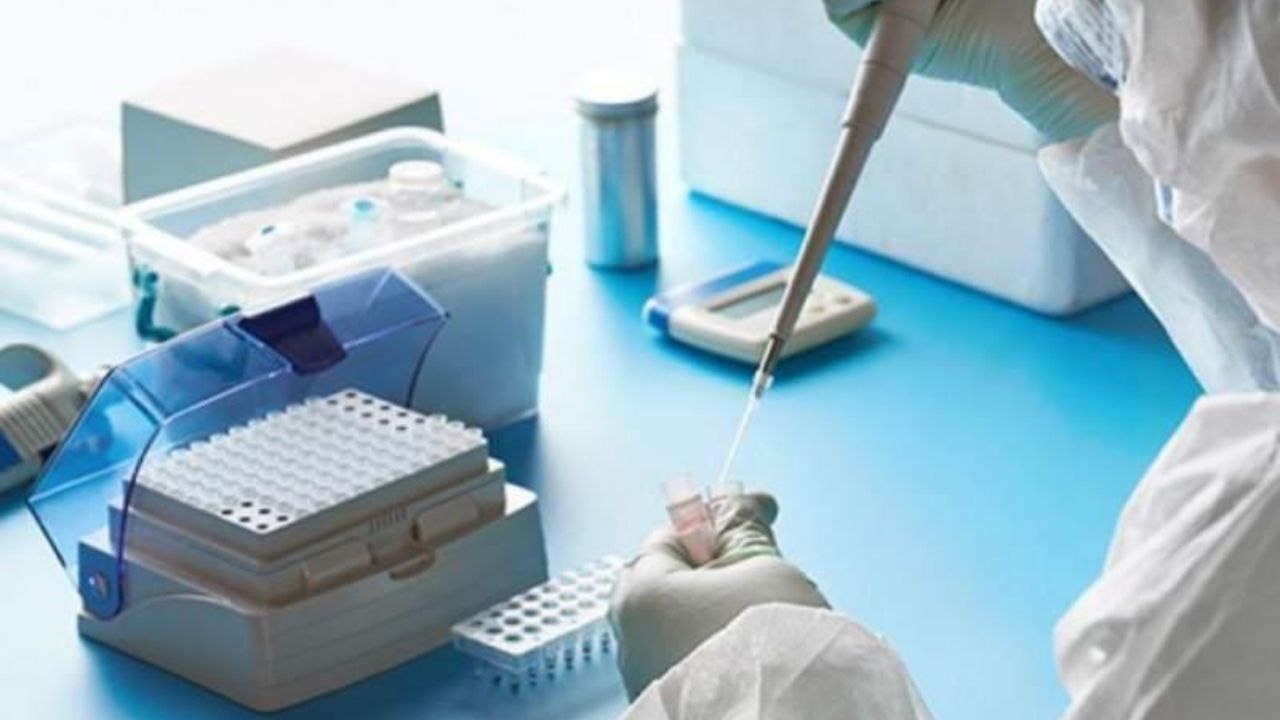 En Honduras solo hay pruebas PCR para 10 días; fiscalía investiga pérdida de muestras por mal manejo