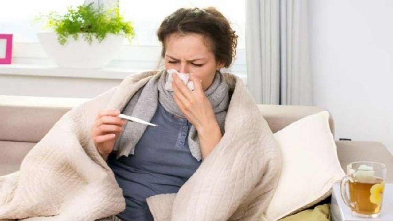 Según científicos, los refriados comunes pueden ayudar a entrenar al sistema inmunológico contra el covid