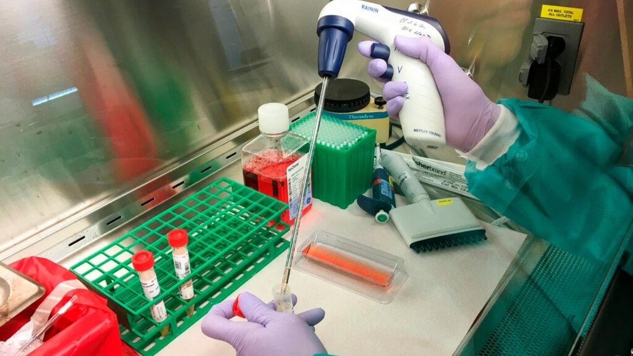 Indonesia detecta una mutación del coronavirus diez veces más infecciosa que la cepa original encontrada en China