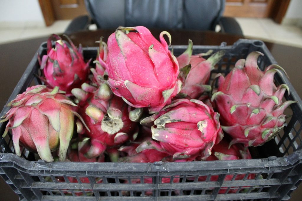 Imagen de cuerpo de nota