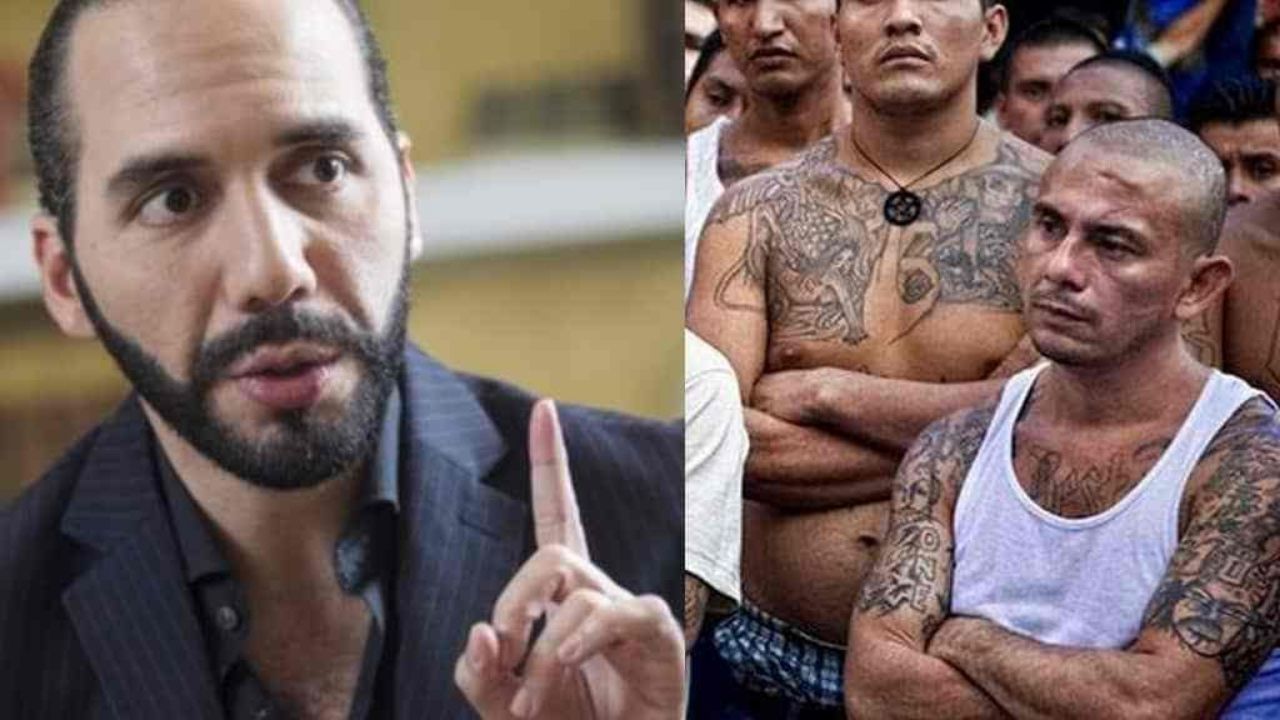 En supuesto pacto,entre Bukele y la Mara Salvatrucha, conoce lo que les permiten hacer