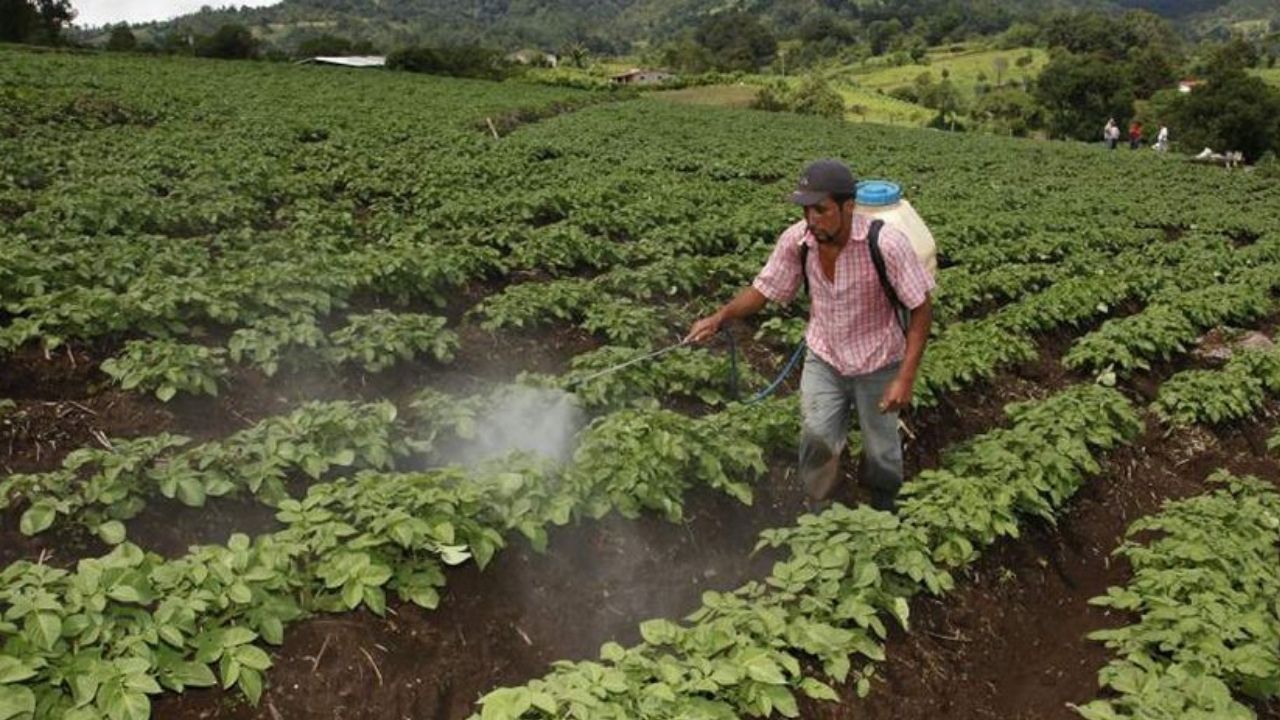 Editorial HRN: Miopía y desidia en el Día Mundial de la Agricultura