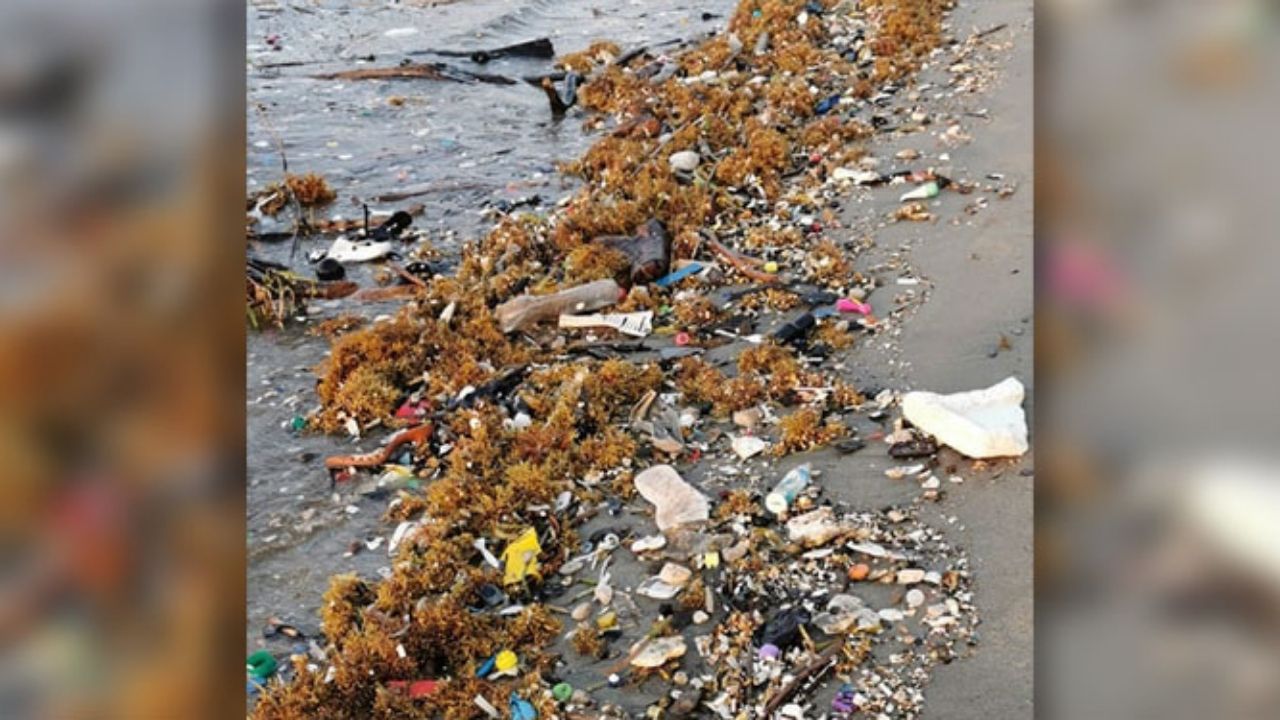 Playa de Omoa convertida en un basurero por desechos que provienen de Guatemala, vídeo muestra las toneladas de basura