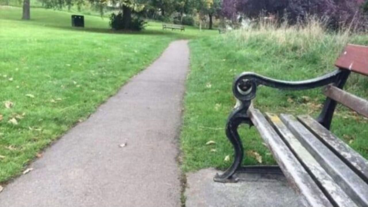 Encuentra el perro en esta imagen; cuando lo logres seguro vas a sonreír
