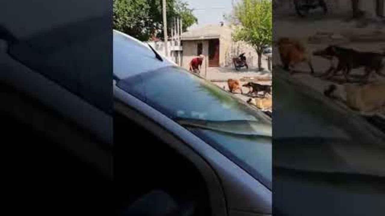 Entre primos se agarran a tiros y terminan heridos en Intibucá, Honduras