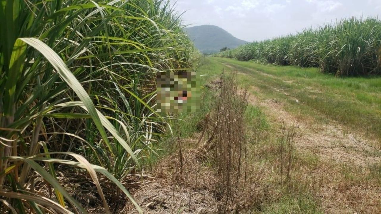 Dentro de unos sacos encuentran a dos personas muertas en la zona norte de Honduras