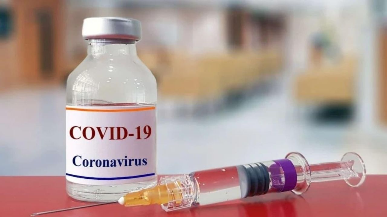 Anuncian que la distribución masiva de vacunas covid podría realizarse antes de noviembre de 2020