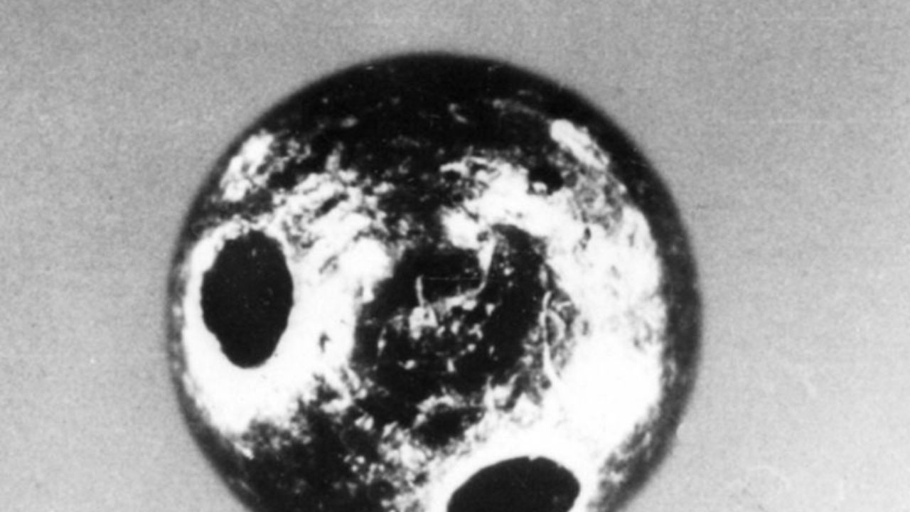 ¿Cuáles son los efectos que provoca la ricina, sustancia letal encontrada en una carta dirigida a Trump?