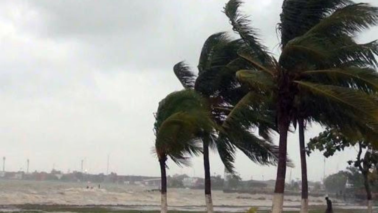 Así se observa la potencia de los fuertes vientos en Tocoa, Colón por ingreso de Nana