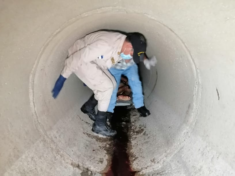 Imagen de cuerpo de nota