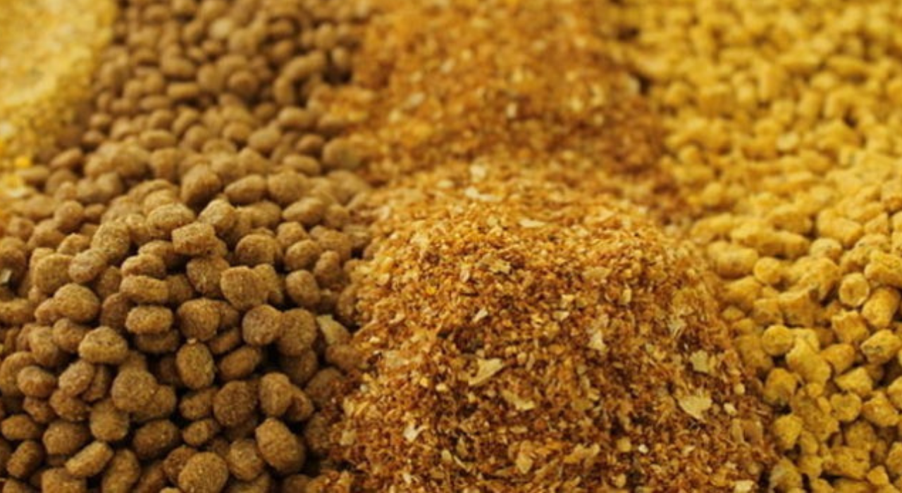Honduras: Congelan precios de alimentos balanceados para consumo animal y descartan aumento en leche, huevos y carnes