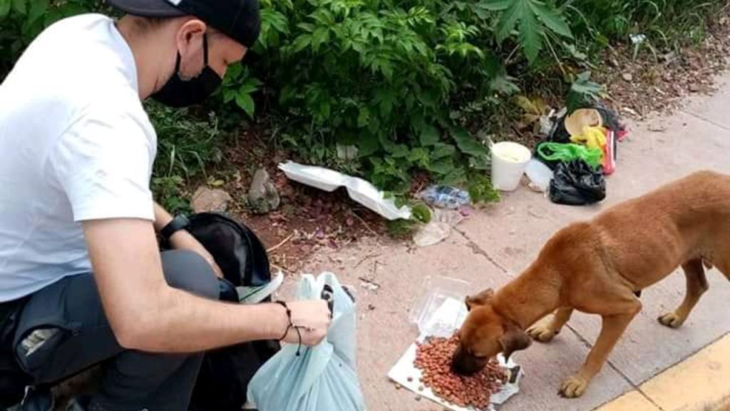 Imagen de cuerpo de nota