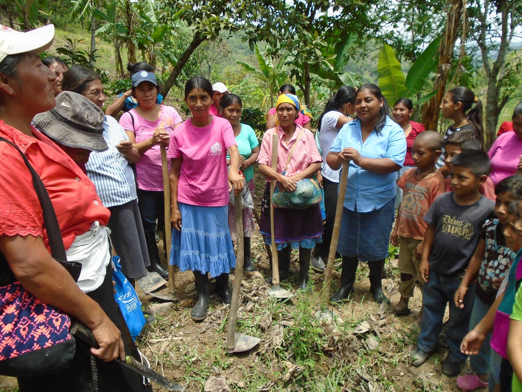 Drama: solo 1 de cada 10 mujeres lencas tiene acceso a tierras en Honduras