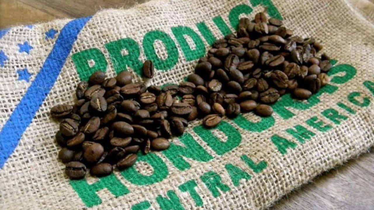 Sector cafetalero pide al presidente Hernández limpiar el nombre de Honduras, tras hallazgo de cocaína en contenedor de café en España