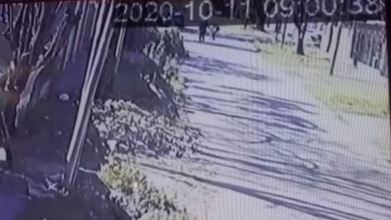 Vídeo muestra cómo un hombre le arrebató la pistola y mató al ladrón que intentó asaltarlo