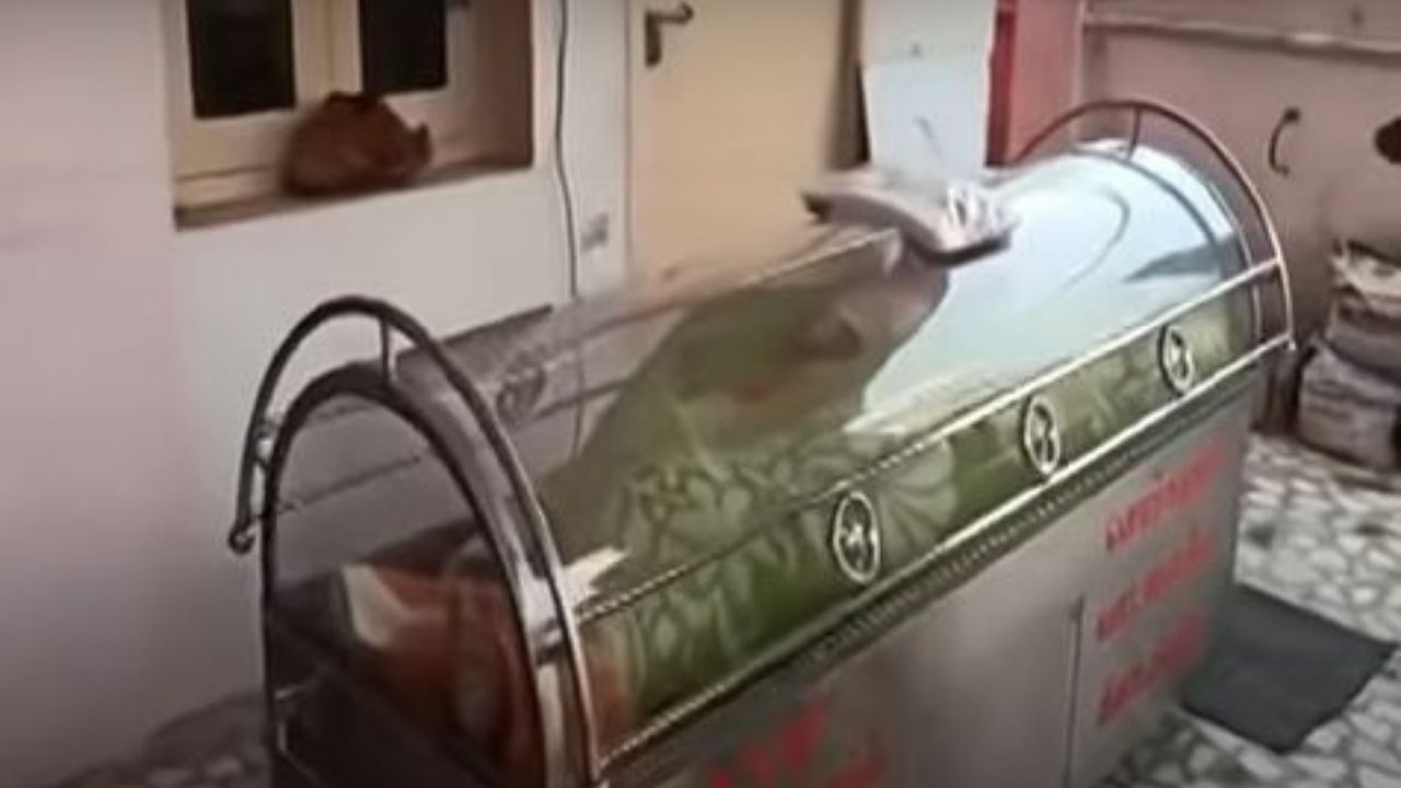 Muerto 'resucitó' después de pasar 20 horas en un congelador, te mostramos el vídeo