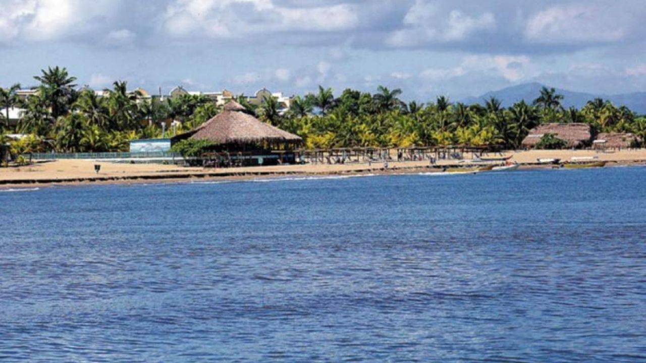 Hondureños graban supuestos tiburones en playa de La Ceiba, mira el video