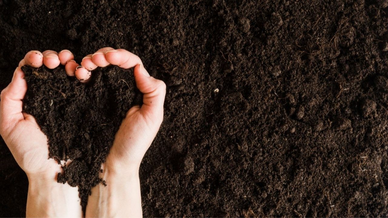 Sector azucarero es pionero en la agricultura sostenible