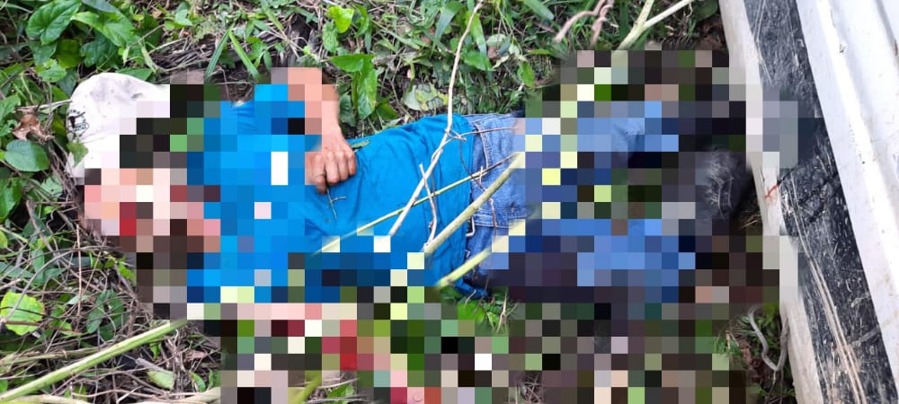 Imagen de cuerpo de nota