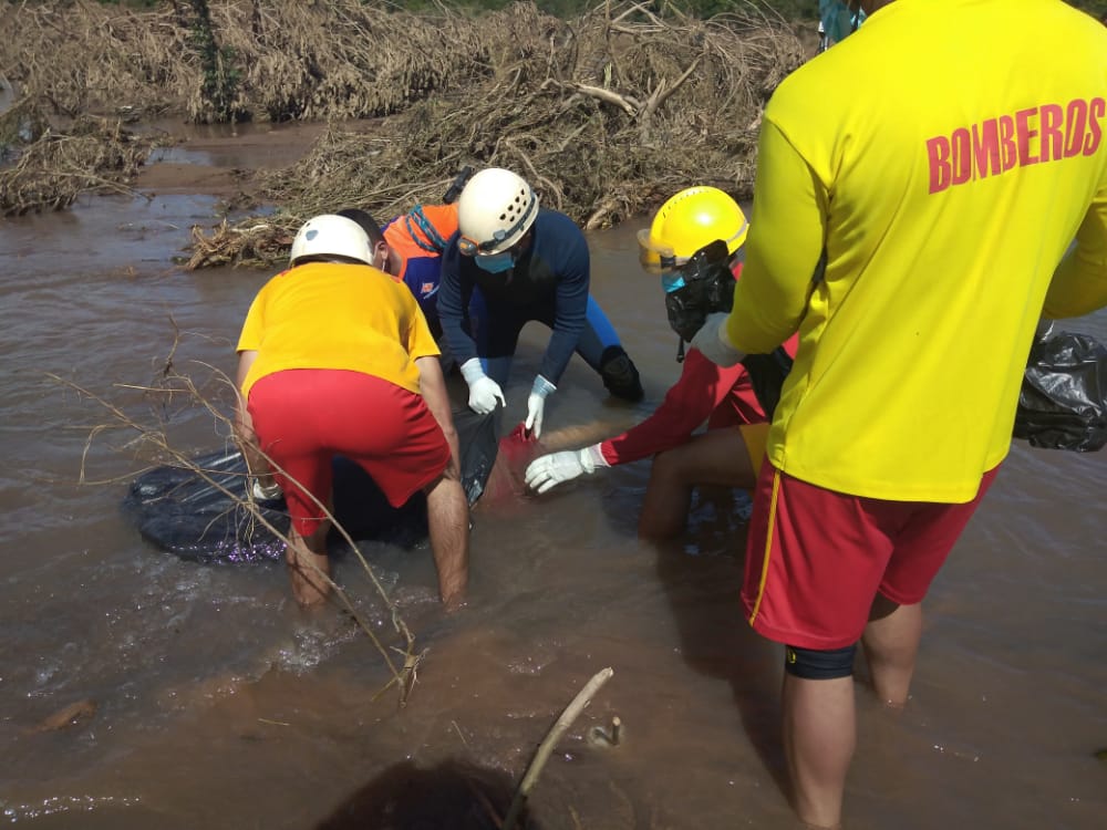 Imagen de cuerpo de nota