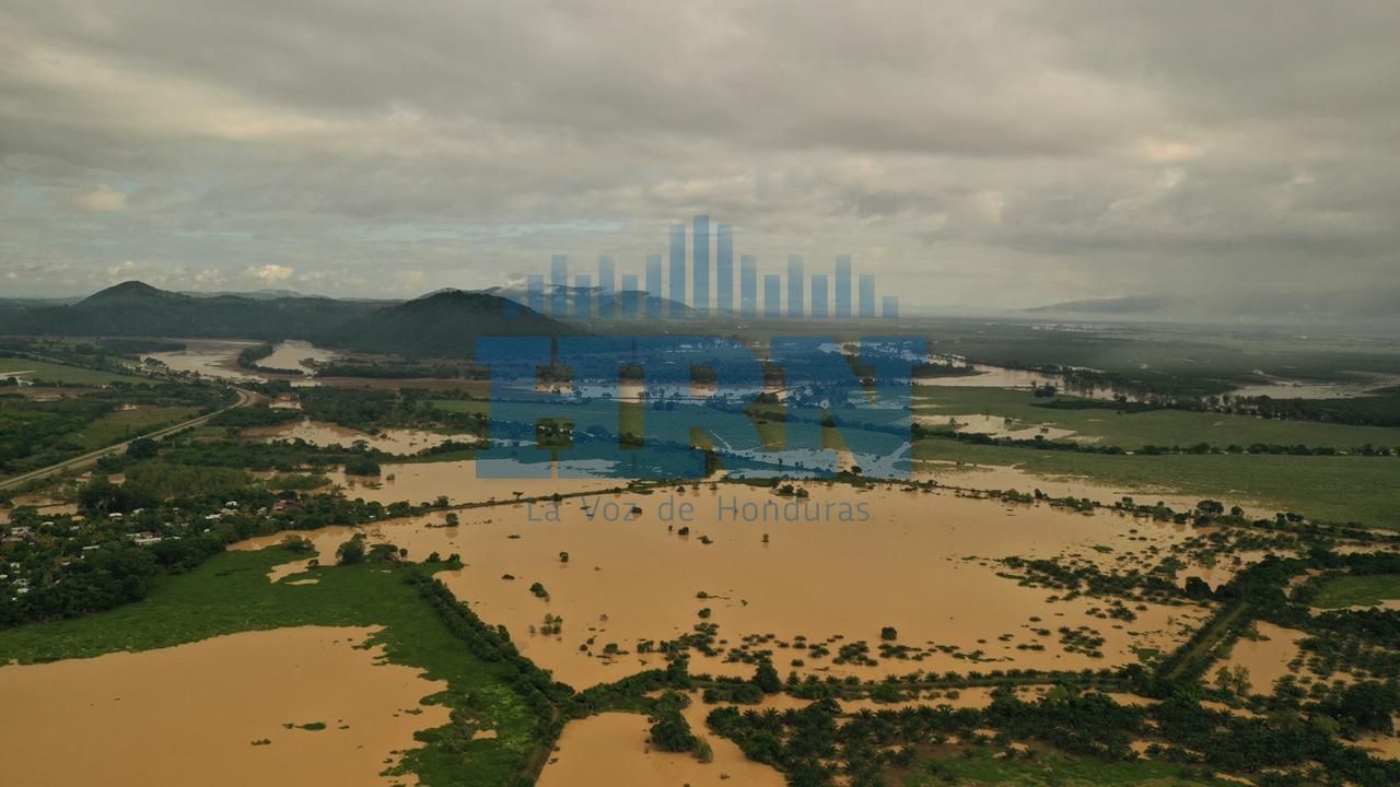 Imagen de cuerpo de nota