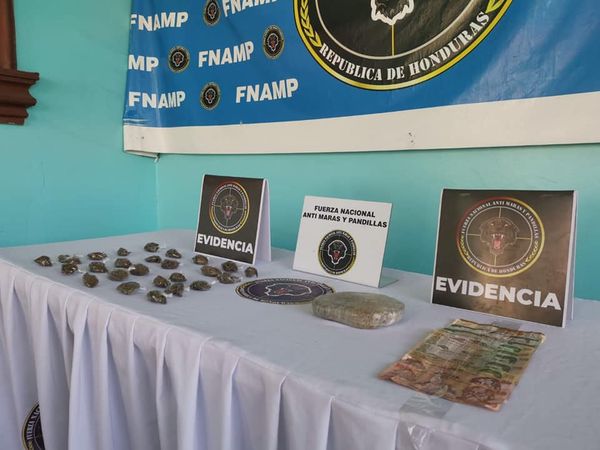 Imagen de cuerpo de nota