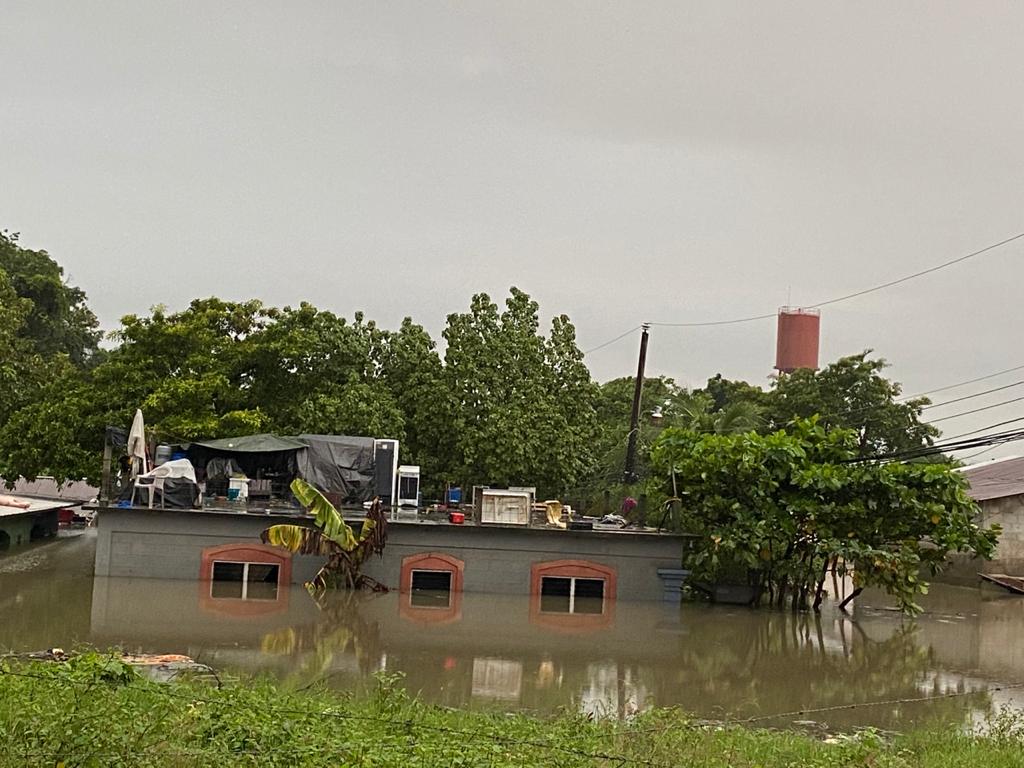 Imagen de cuerpo de nota