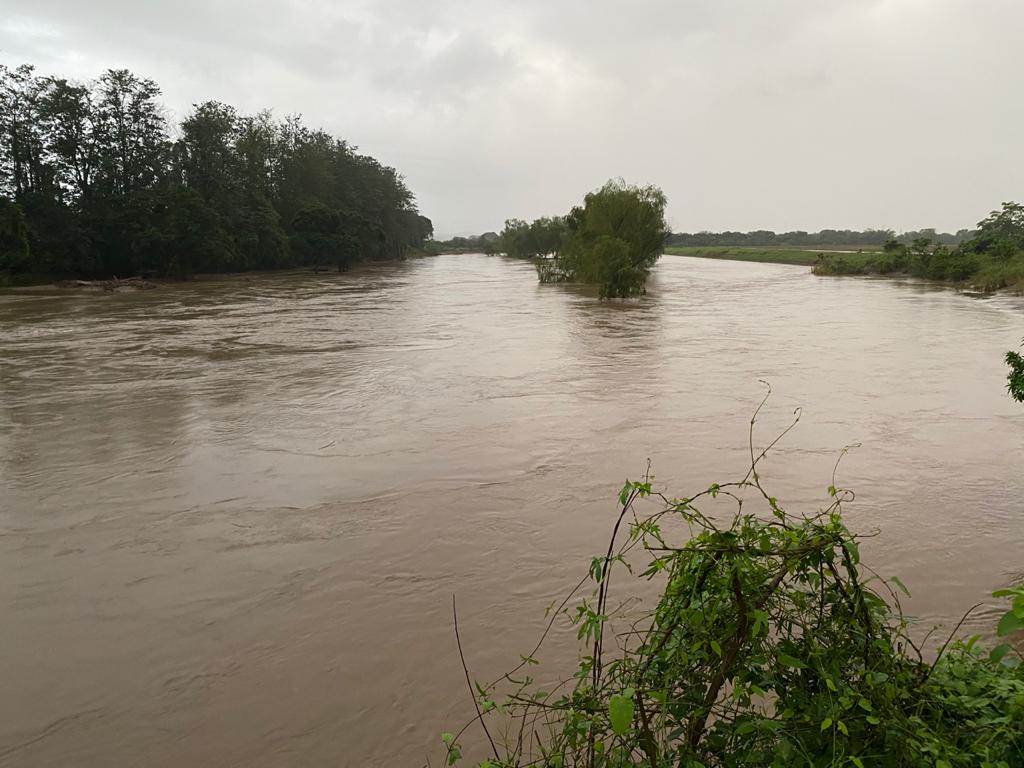 Imagen de cuerpo de nota