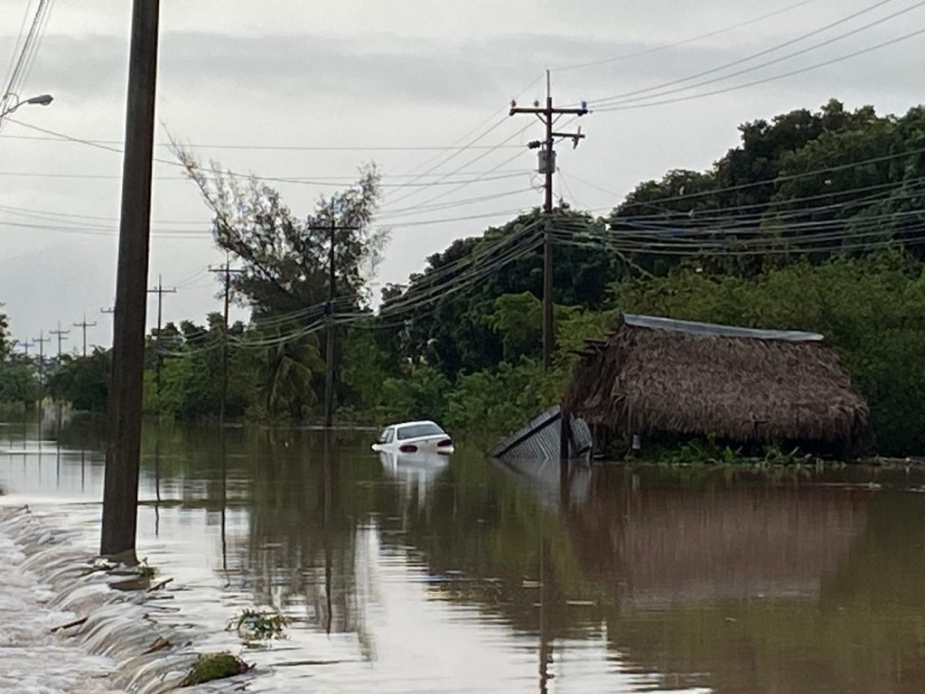 Imagen de cuerpo de nota